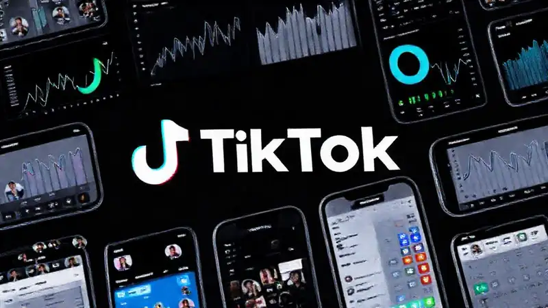 TikTok muestra datos digitales a usuarios