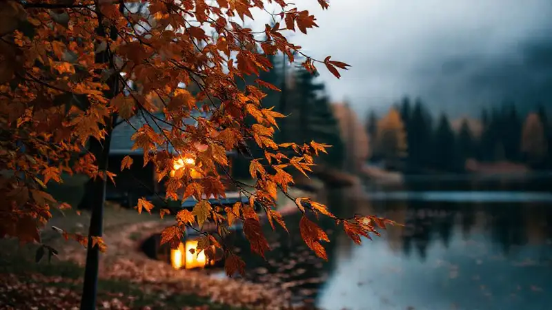 Un paisaje otoñal y sereno